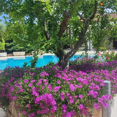 L'agrumeto & Pool - Puglia Mia *